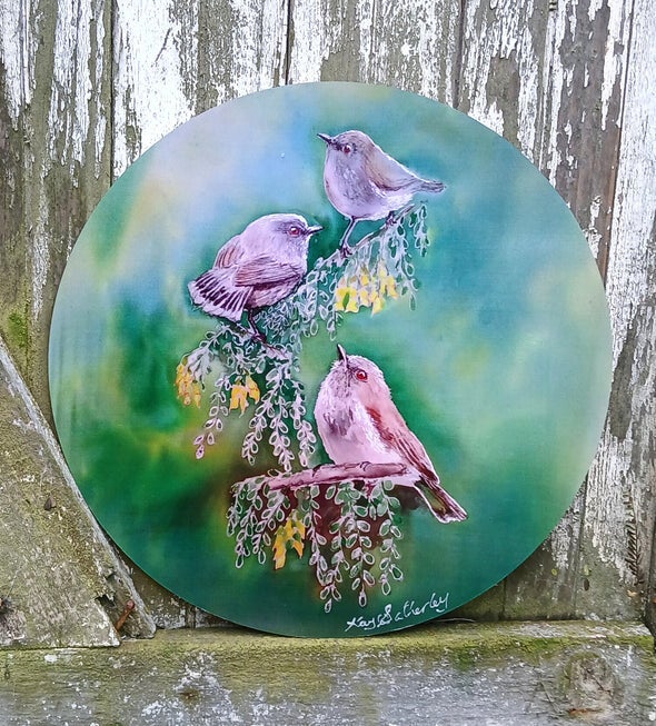 Grey Warbler, Riroriro, native New Zealand Bird - Circle Outdoor Art Panel