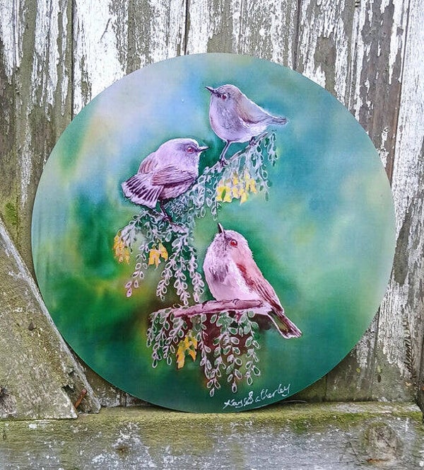 Grey Warbler, Riroriro, native New Zealand Bird - Circle Outdoor Art Panel