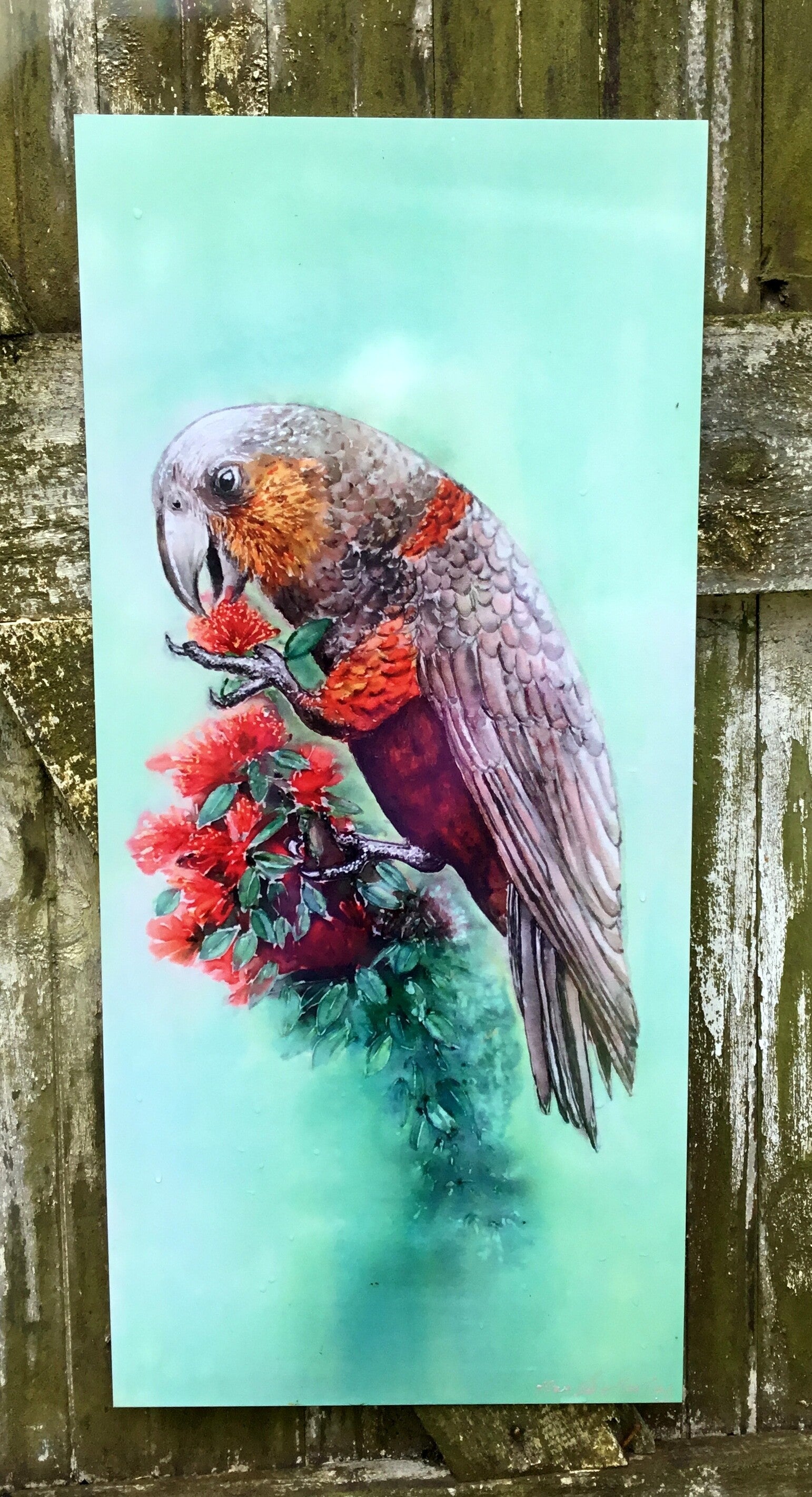 New Zealand Parrot,  Kaka - Outdoor Garden Art Panel