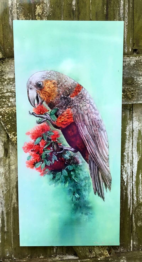 New Zealand Parrot,  Kaka - Outdoor Garden Art Panel