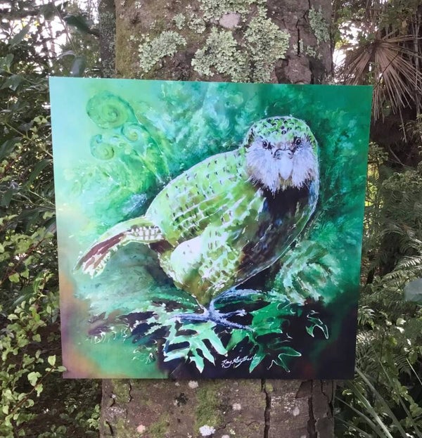 New Zealand Kakapo Parrot -  Outdoor Wall Art Panel Square