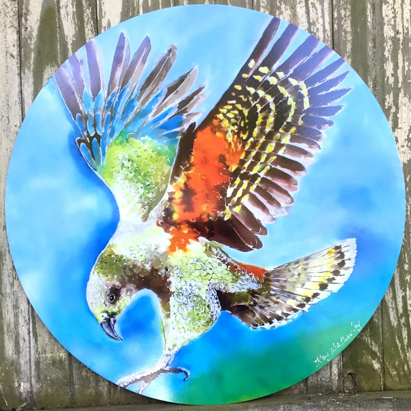 Kea Bird, NZ Alpine Parrot - Outdoor Circle Art Panel