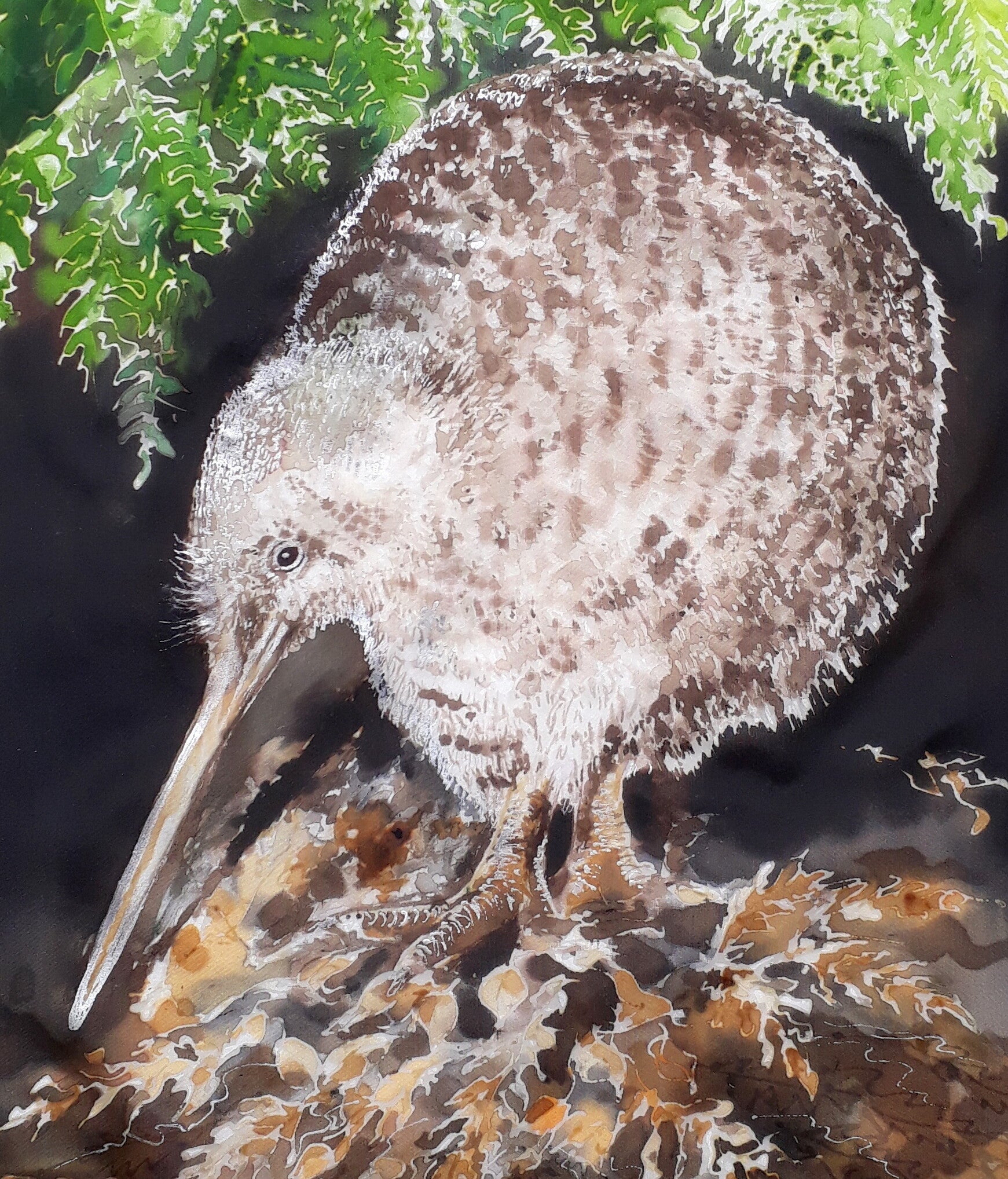 New Zealand Spotted Kiwi Bird -  Outdoor Art Panel Squarish