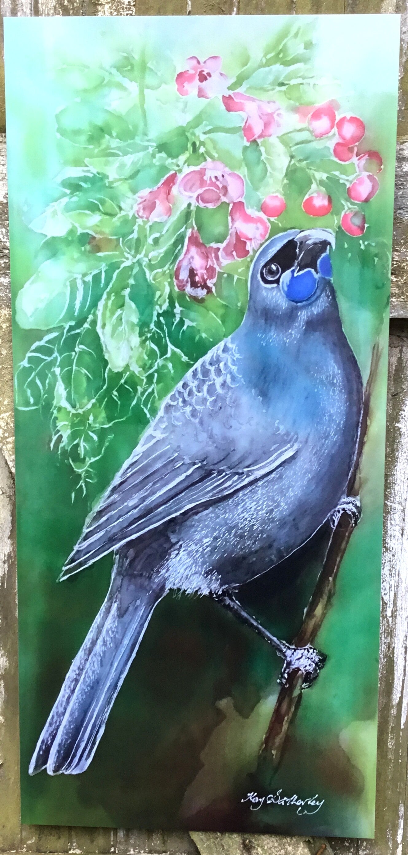 New Zealand Kokako on Puriri Tree - Outdoor Garden Art Panel