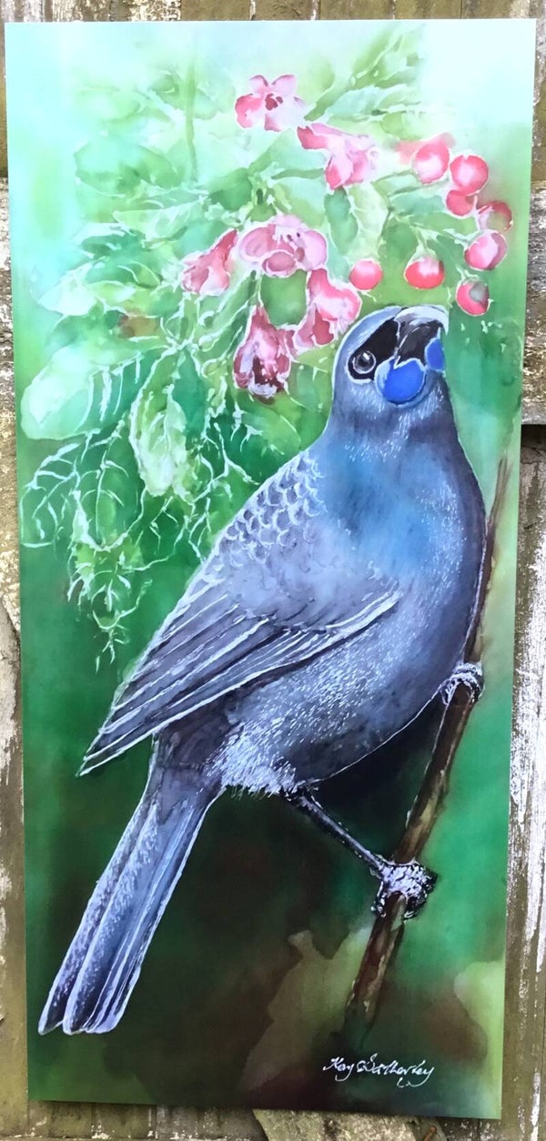 New Zealand Kokako on Puriri Tree - Outdoor Garden Art Panel