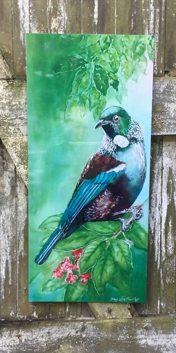 New Zealand Tui Bird on Puriri Tree - Outdoor Wall Art Panel