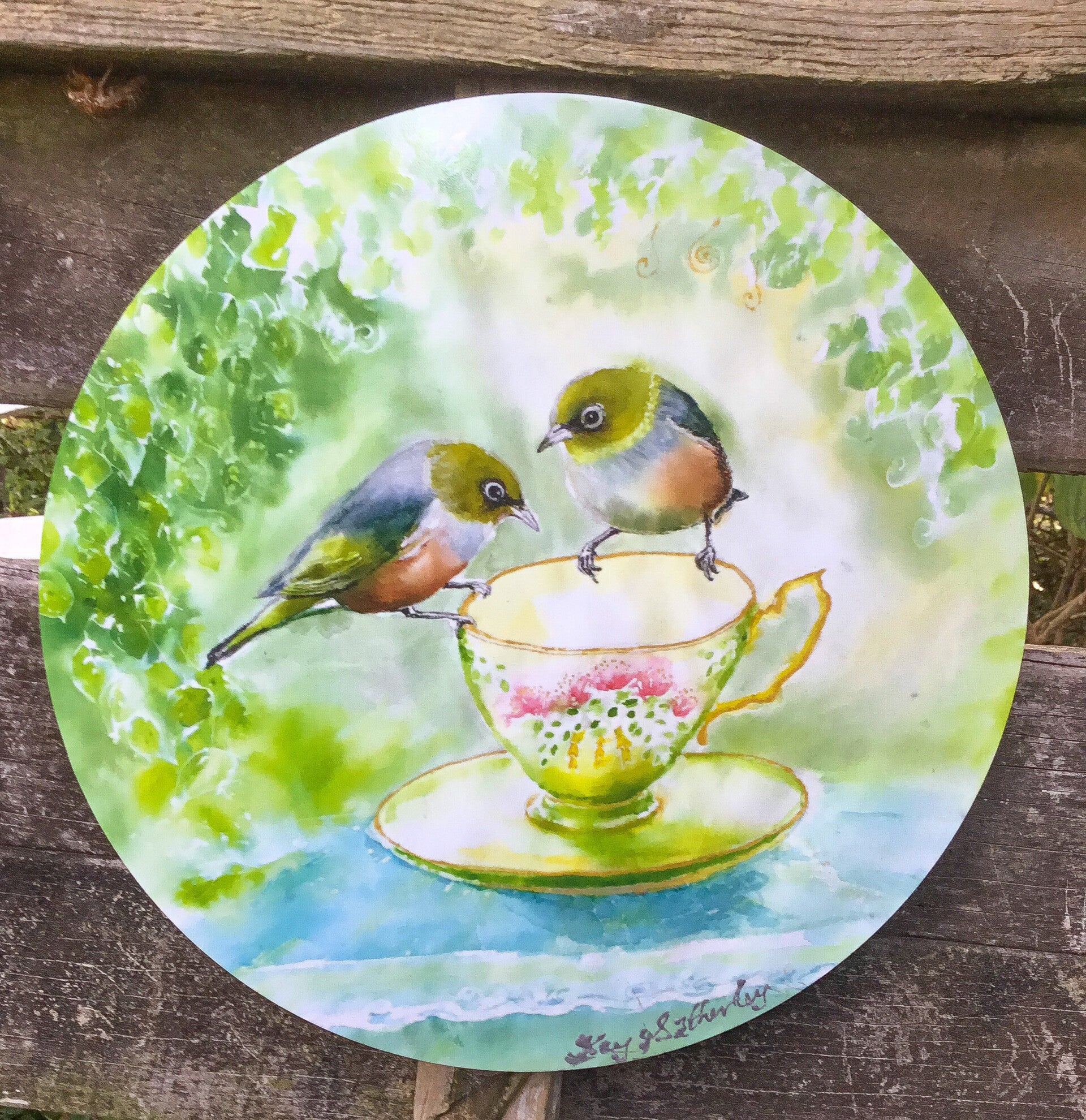 Silvereyes, Tauhou, on Teacup - Circle Outdoor Art Panel
