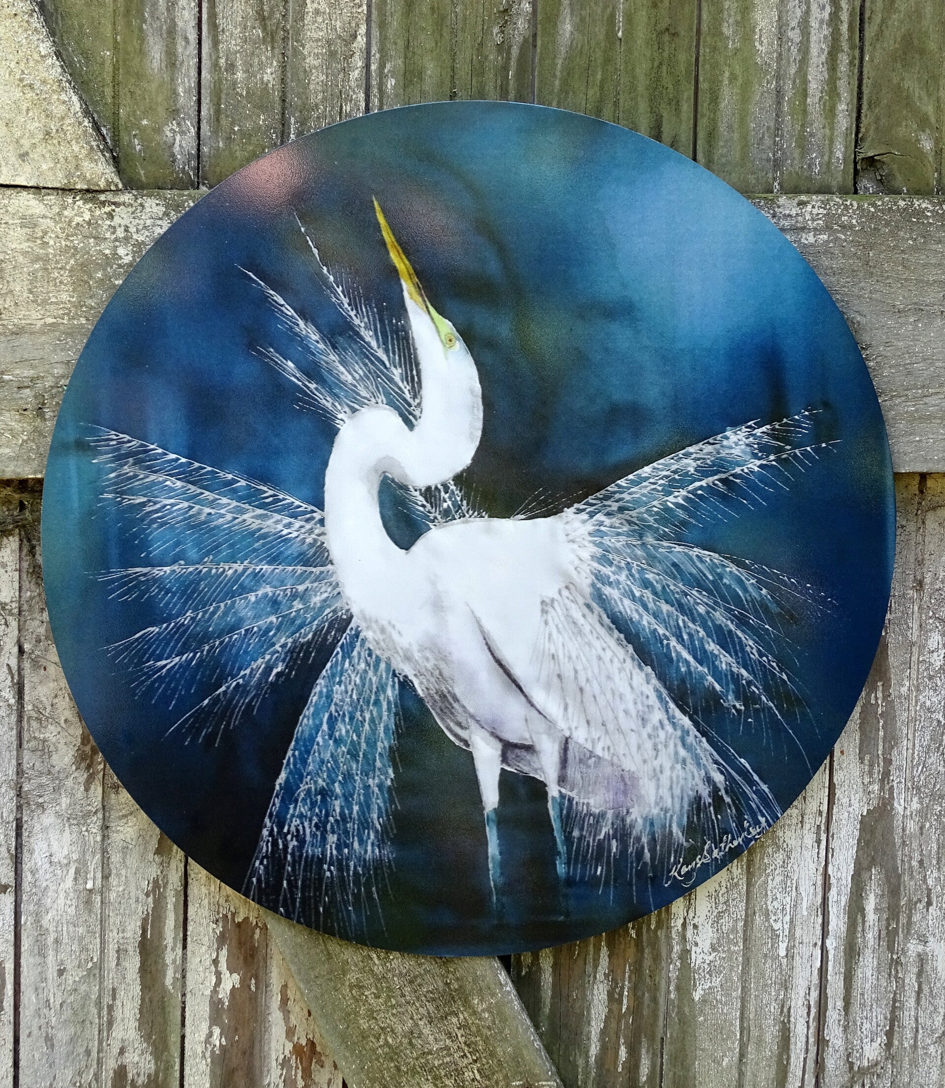 White Heron, Kotuku, New Zealand Bird - Circle Outdoor Art Panel