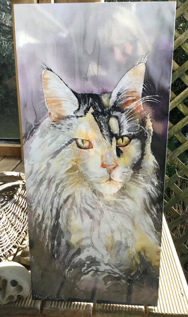 Commissioned Silk Painting of a Maine Coon cat. Bespoke Silk Art