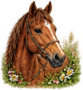 horse-standard.png