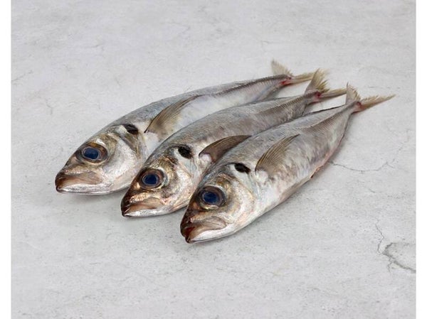 CARAPAU GRANDE 900 gr