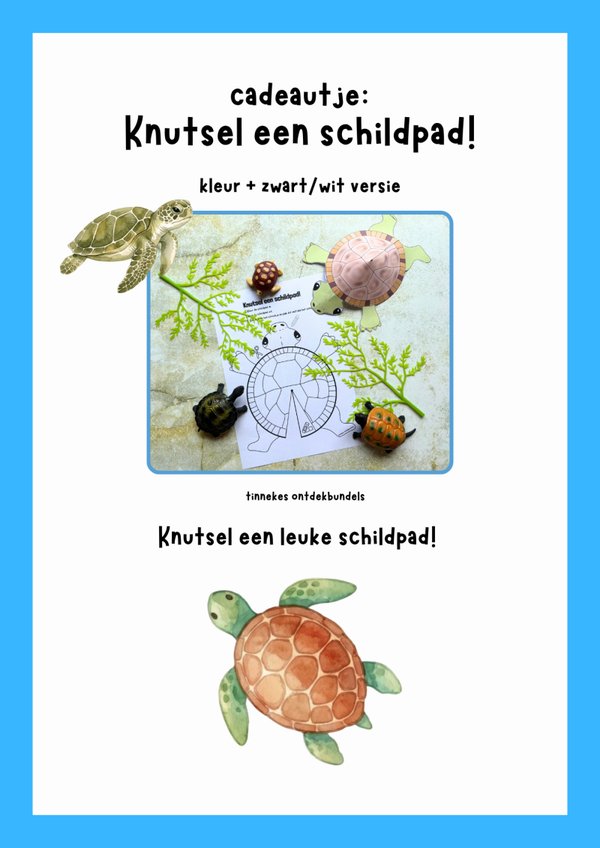 Knutsel een schildpad!