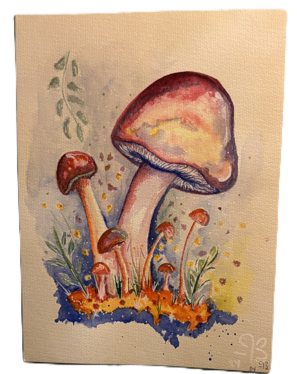 Tausen Art 21*28,5cm