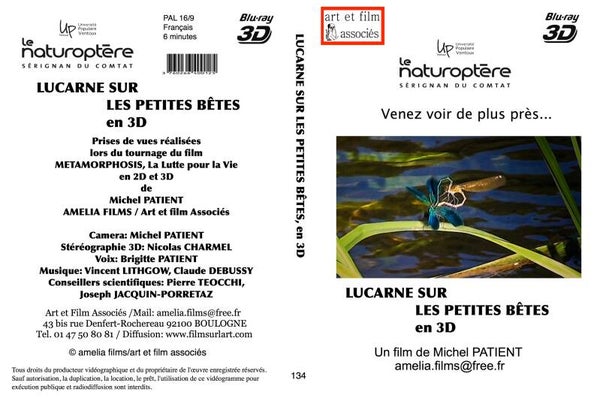 LUCARNE SUR LES PETITES BETES