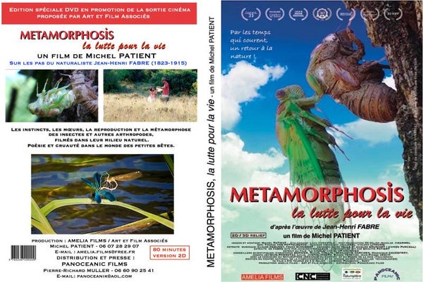 METAMORPHOSIS, la lutte pour la vie (2020)
