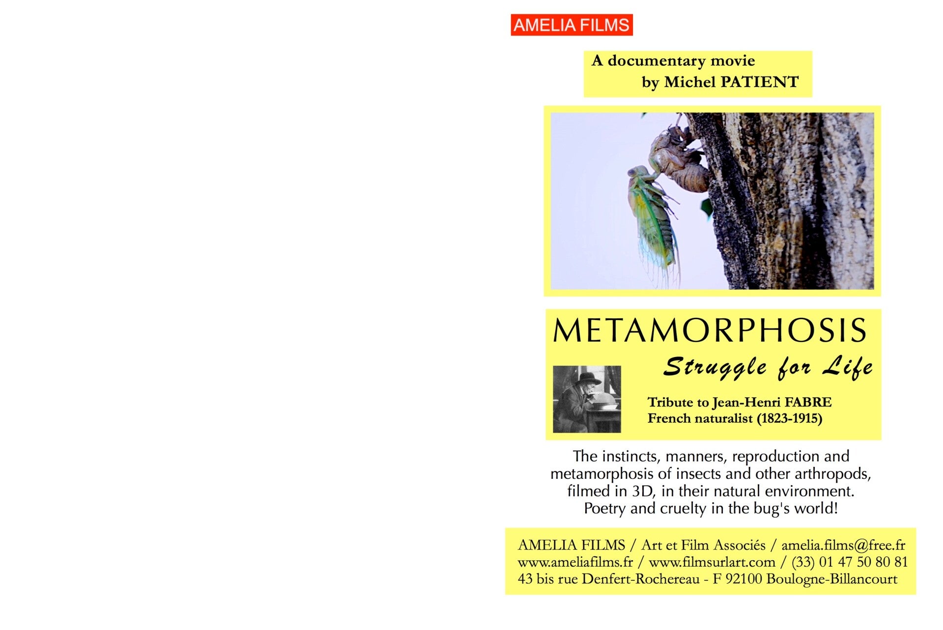 Metamorphosis, Struggle for Life