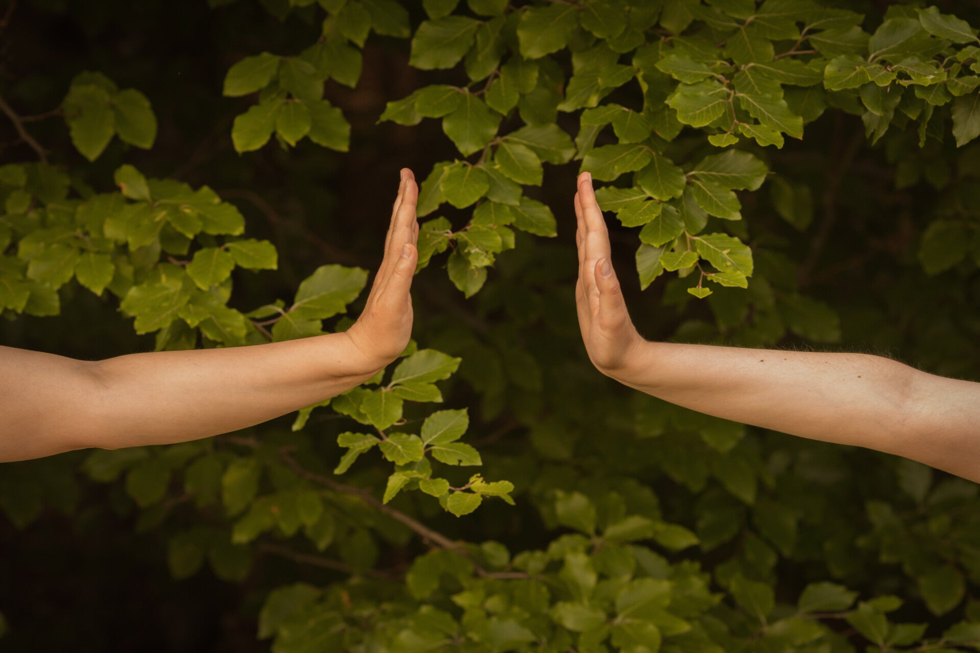 Körperpsychotherapie, Körpertherapie, Grenzen setzen
