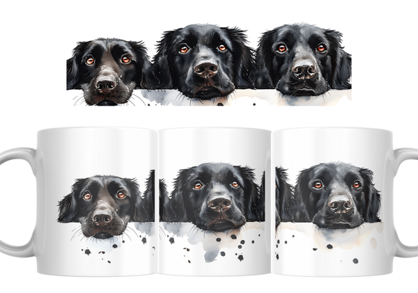 Mok - Labrador Retriever