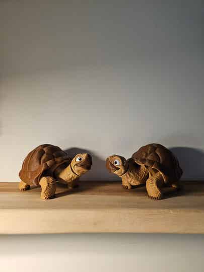 3D prints - schildpad/Turtle
