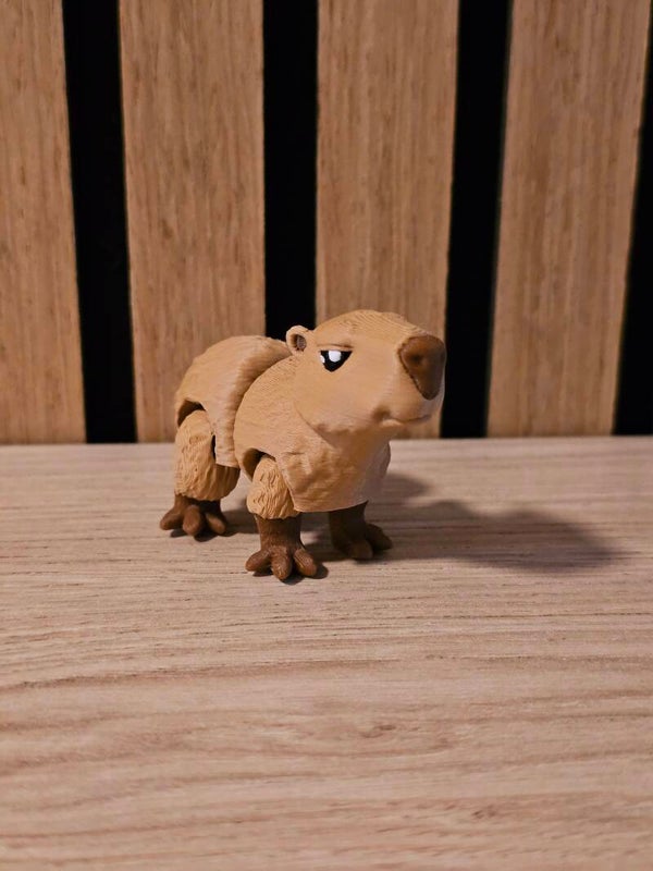 Pocket friend - Capibara