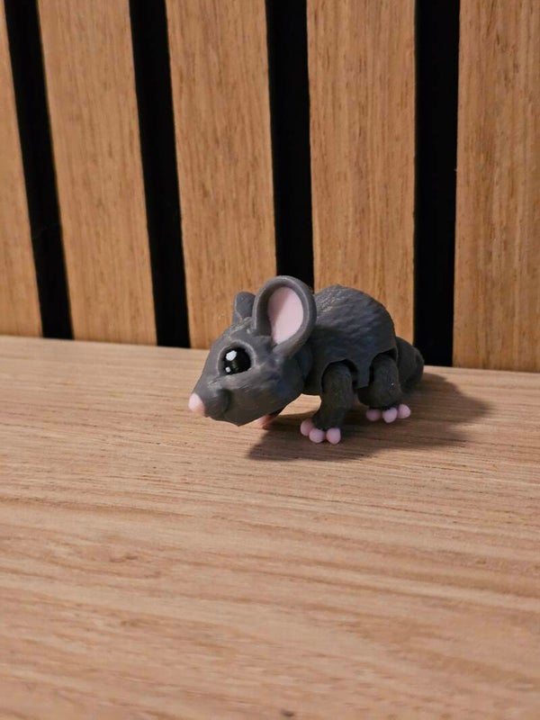 Pocket friend - muis