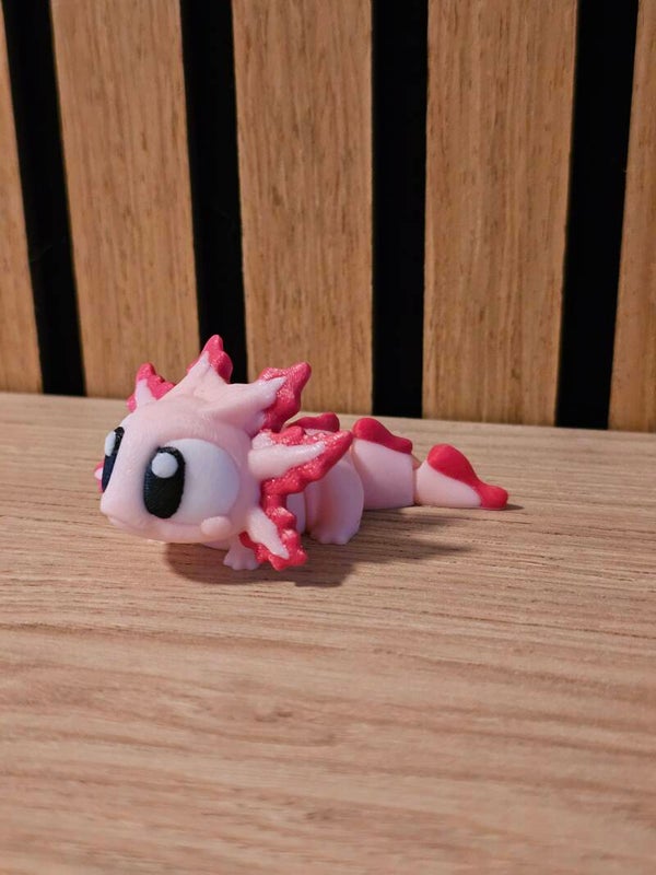 Pocket friend - Axiloto