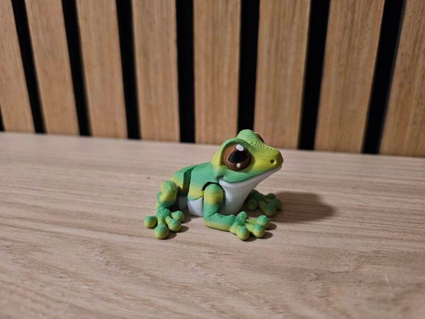 Pocket Friend - Kikker