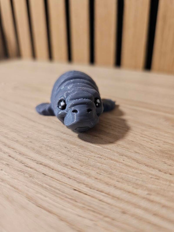 Pocket Friend - Zeekoe