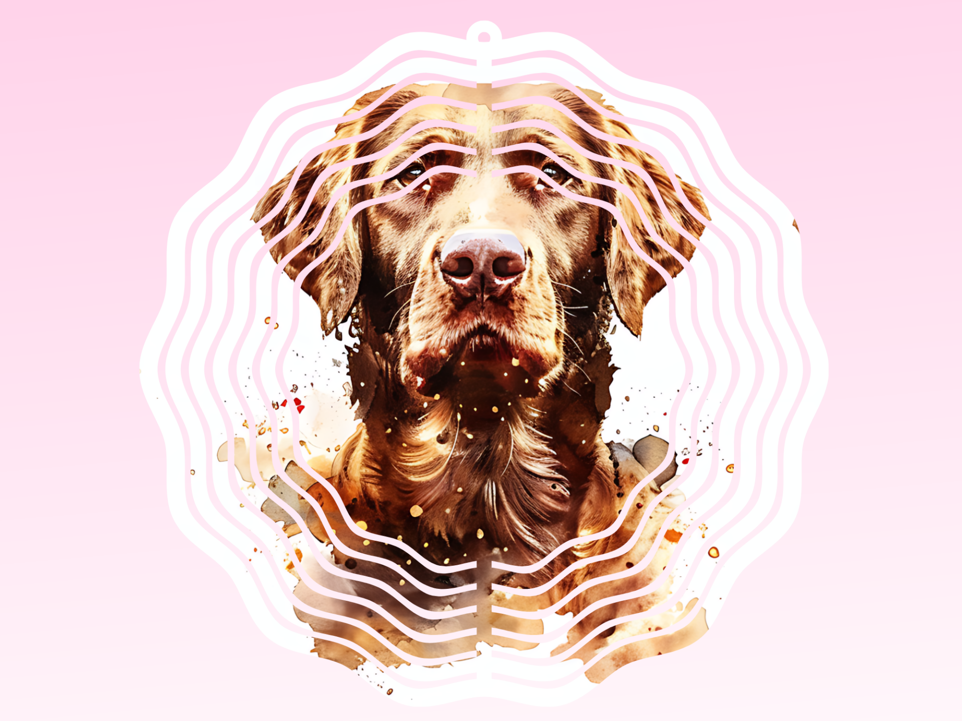 Windspinner - Labrador Retriever (Bruin1)