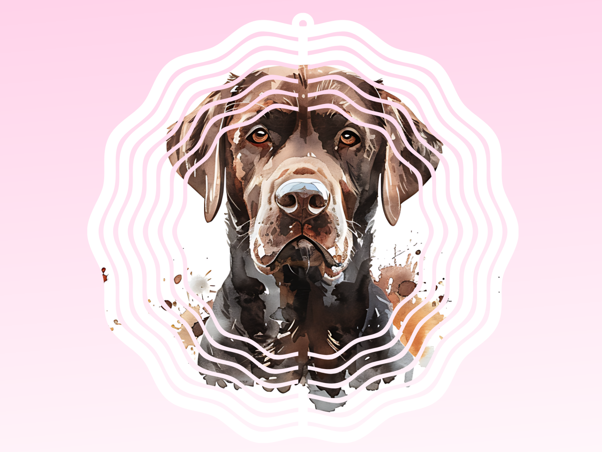 Windspinner - Labrador Retriever