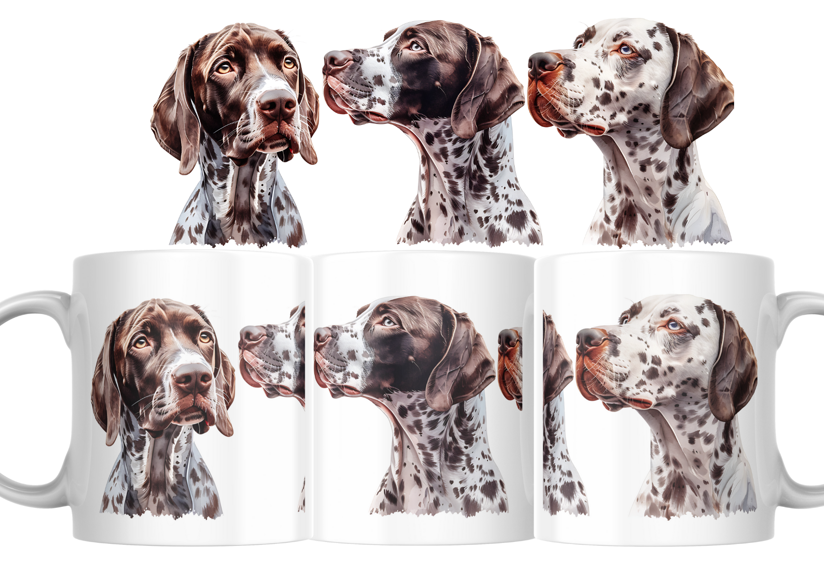 Mok - Danish Pointer