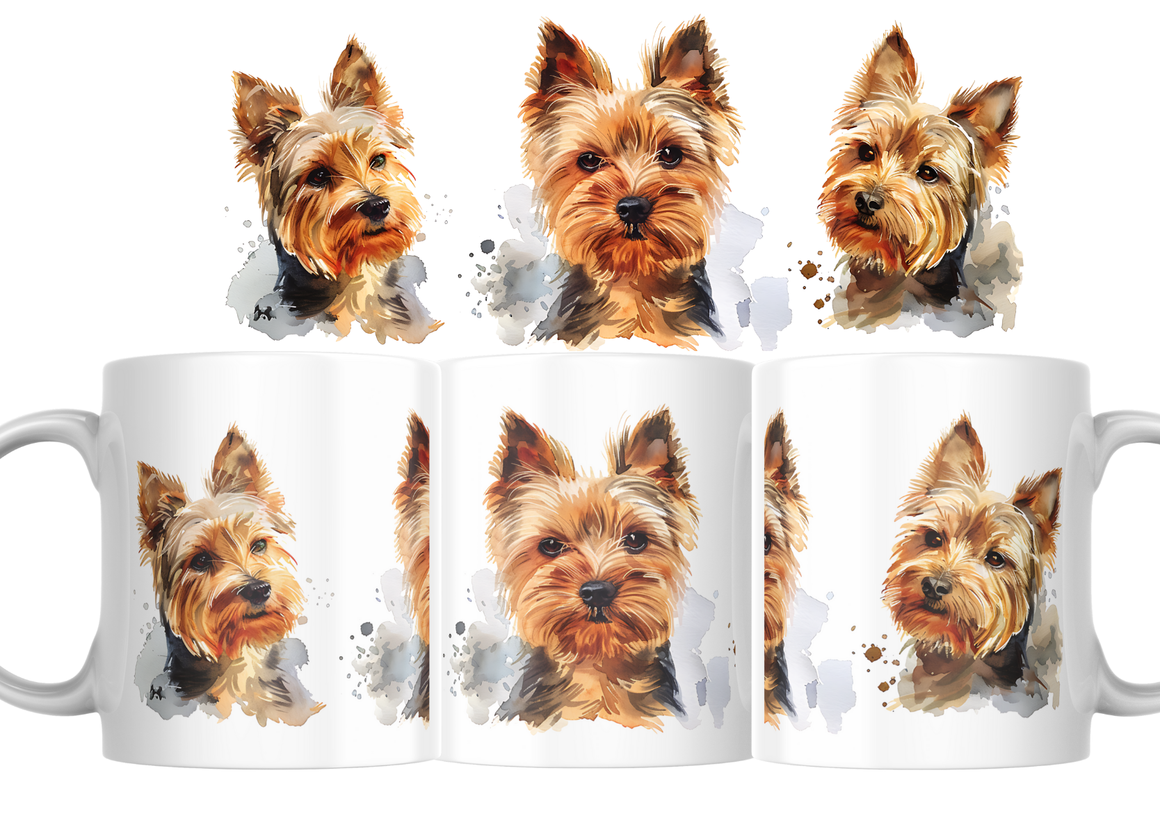 Mok - Yorkshire terriër