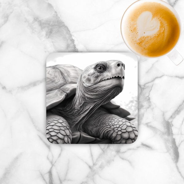 Onderzetter - Schildpad