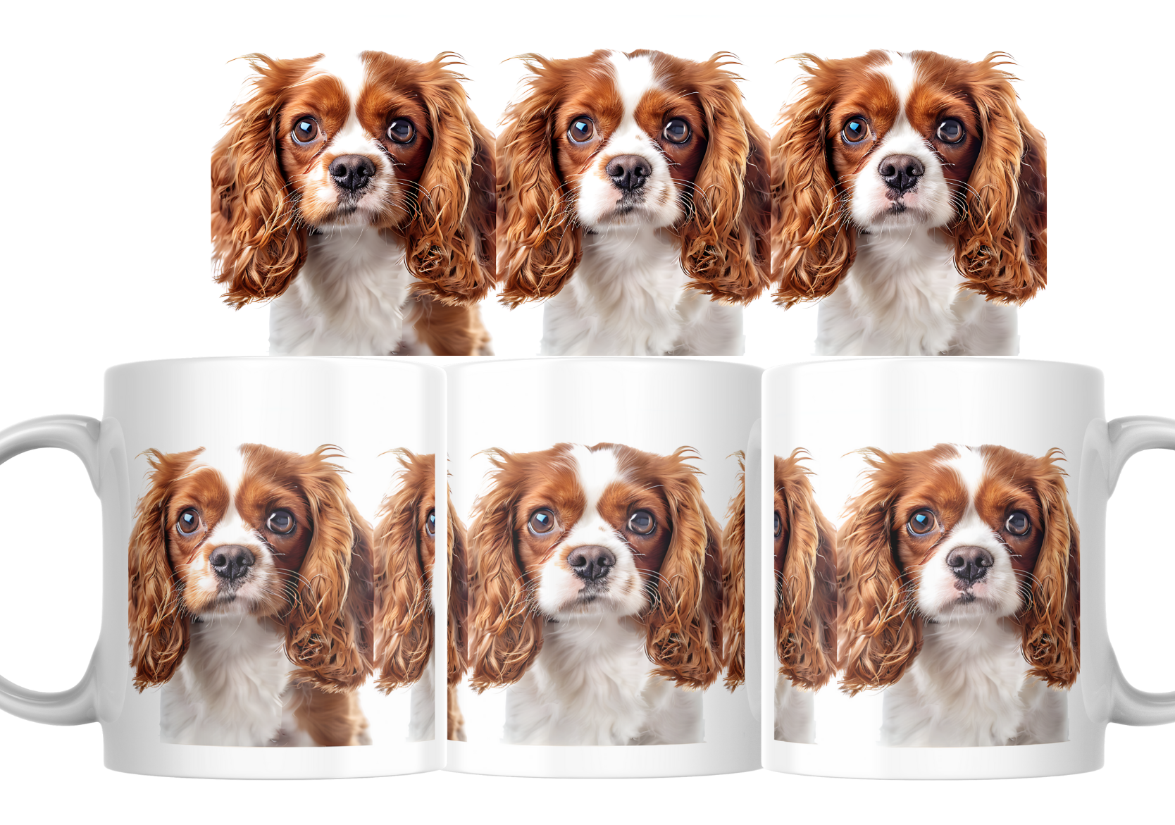 Mok - Cocker Spaniel