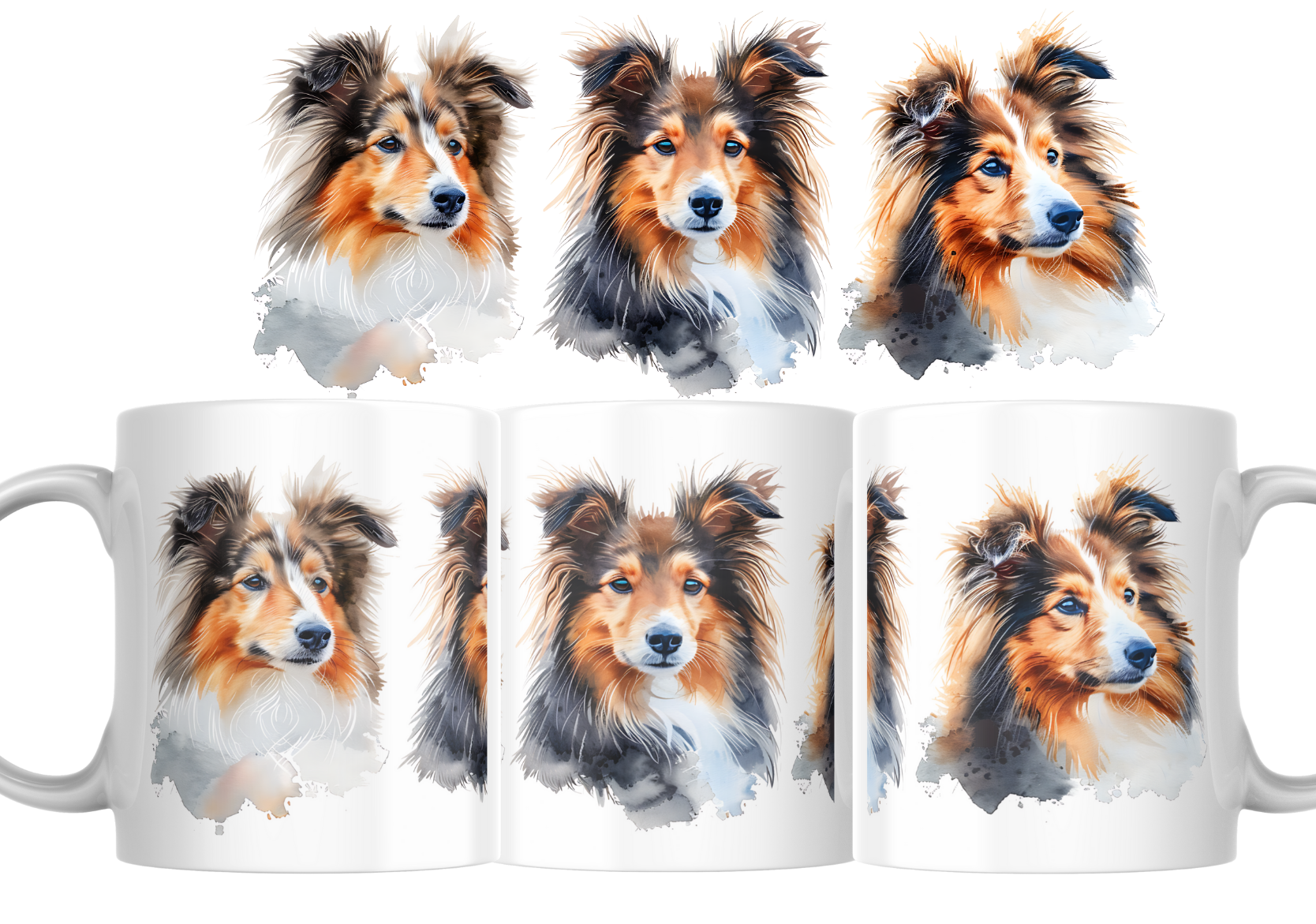 Mok - Langharige Coli