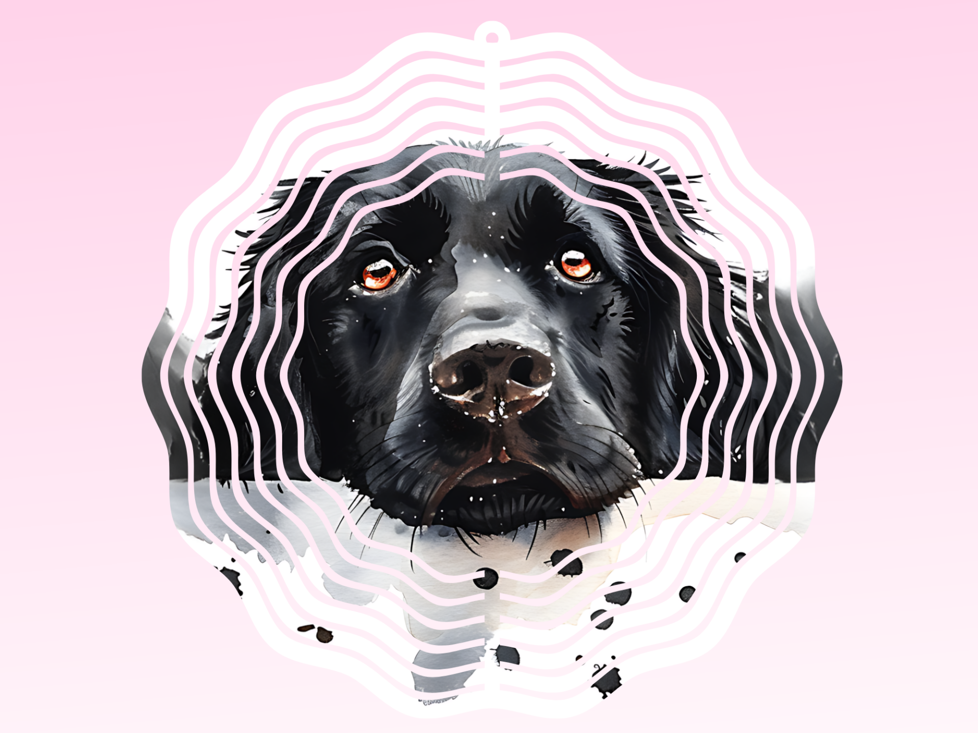 Windspinner - Labrador Retriever(2)