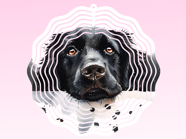 Windspinner - Labrador Retriever(2)