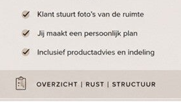 Organisatieplan