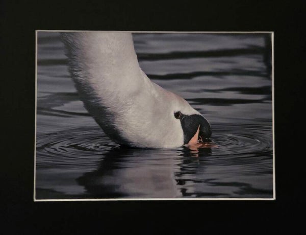 #29 ripples