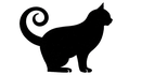 Cosy Cat’s ASBL