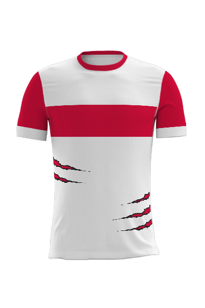 MAILLOT DE MATCH SUBLIME 6