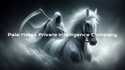 Pale Horse Private Intelligence Company