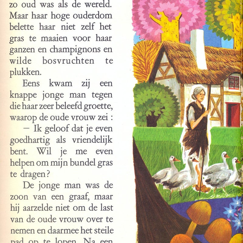 ganzenhoedsterMaciasS3.jpg