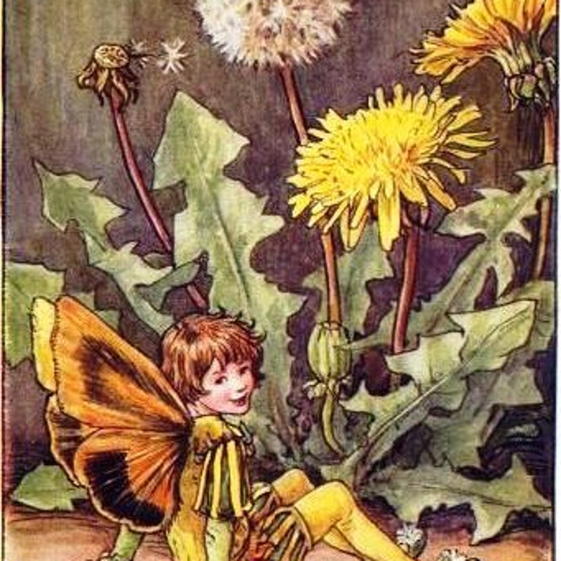 FlowerFairiesSpring11.jpg