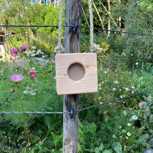 Snuffelbox