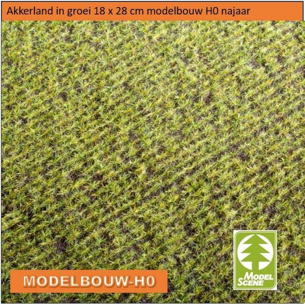Akkerland in bloei modelbouw H0 F401