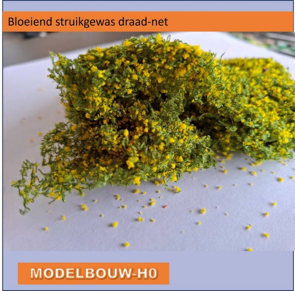 Struikgewas bloeiend geel slierten-netachtig