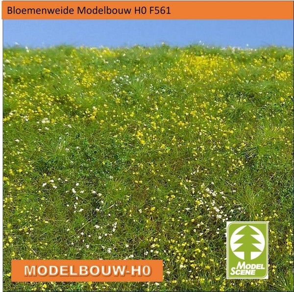 Bloemenweide Modelbouw H0 F561
