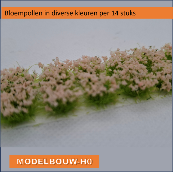 Bloempollen lila 14 stuks