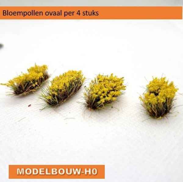 Bloempollen ovaal geel 4 stuks